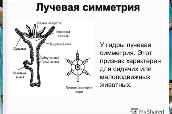 Кракен маркетплейс krk market com