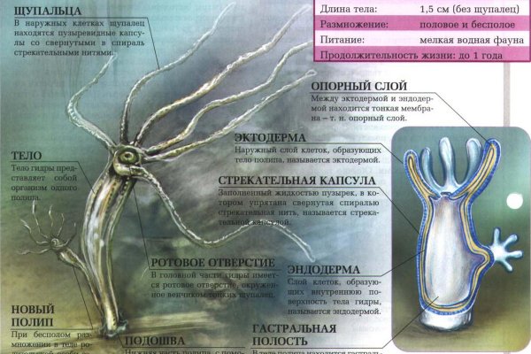 Kraken ссылка kraken clear com