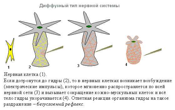 Кракен даркнет ссылка на сайт